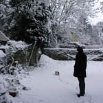 Anna playing with Bo in our old garden.